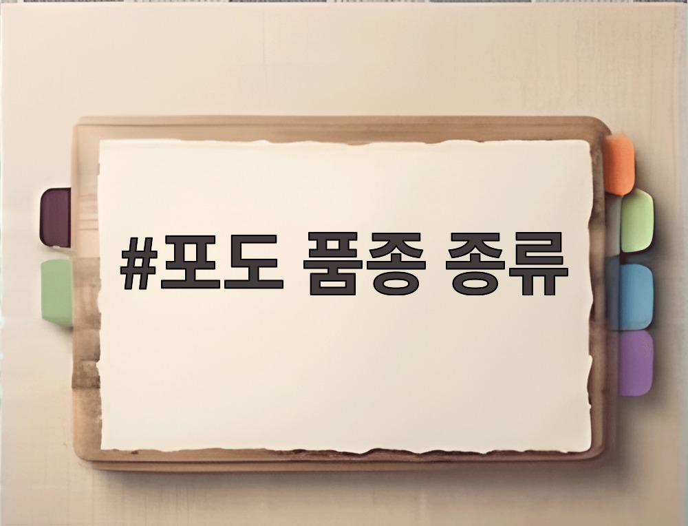 포도 품종 종류