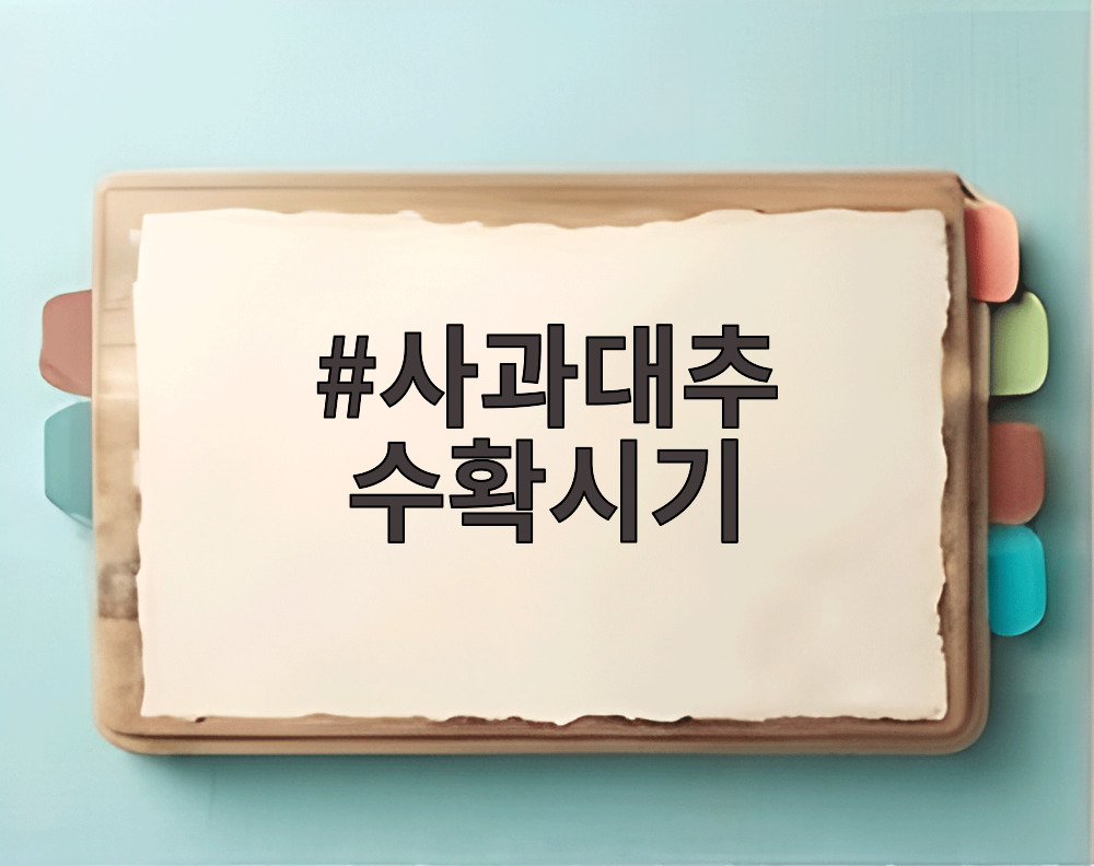 사과대추 수확시기