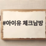 아이유 체크남방 스타일링 코디 정보 아이유 체크남방