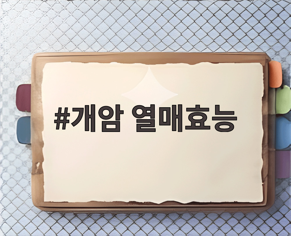 개암 열매효능