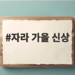 자라 가을 신상 추천템 모음과 코디 정보 자라 가을 신상