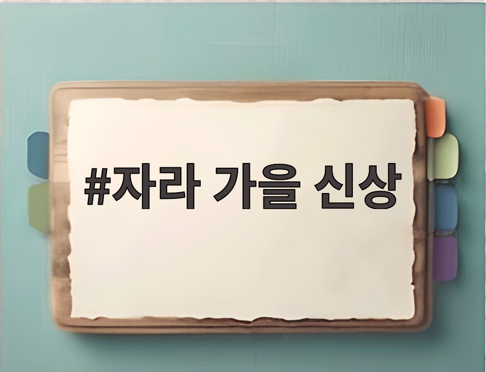 자라 가을 신상