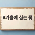 가을에 심는 꽃