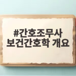 간호조무사 보건간호학 개요