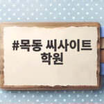 목동 씨사이트 학원 약술형 논술 합격 전략 목동 씨사이트 학원
