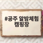 공주 알밤체험 캠핑장 가을 여행 추천 공주 알밤체험 캠핑장