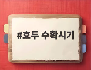 호두 수확시기