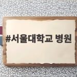 서울대학교 병원 이용과 예약 총정리 서울대학교 병원