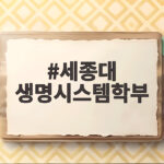 세종대 생명시스템학부 수시등급 분석 세종대 생명시스템학부