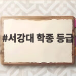 서강대 학종 등급 합격 전략 총정리 서강대 학종 등급