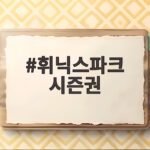 휘닉스파크 시즌권 26/27 총정리 휘닉스파크 시즌권