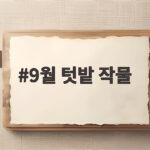 9월 텃밭 작물 심는 시기와 방법 9월 텃밭 작물