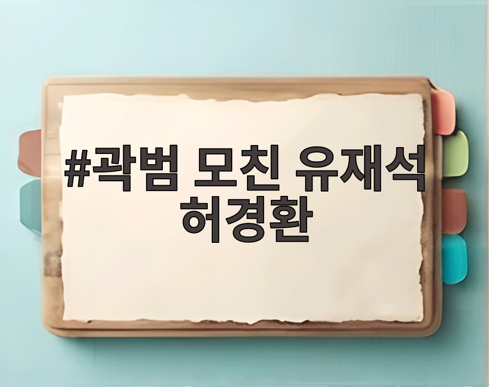 곽범 모친 유재석 허경환