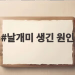 날개미 생긴 원인