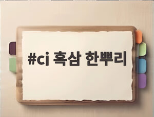 cj 흑삼 한뿌리