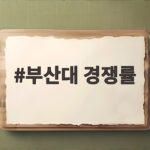 부산대 경쟁률 완전 분석 2027 수시 지원 전략 부산대 경쟁률