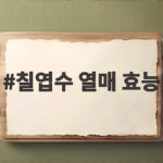 칠엽수 열매 효능과 독성 주의사항 칠엽수 열매 효능