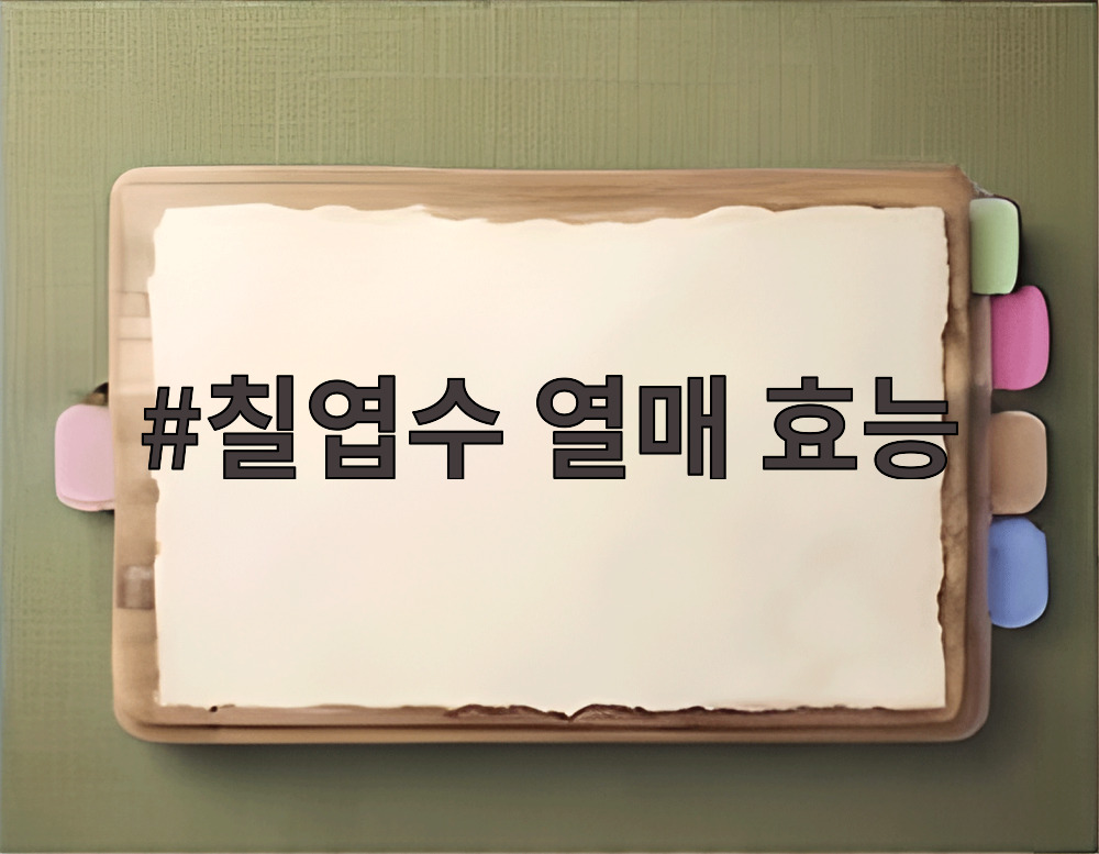 칠엽수 열매 효능