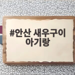 안산 새우구이 아기랑 동반 외식 정보 안산 새우구이 아기랑