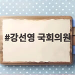 강선영 국회의원 청문회 쟁점과 정치적 의미 강선영 국회의원