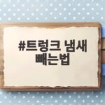 트렁크 냄새 빼는법 확실한 관리 순서 트렁크 냄새 빼는법