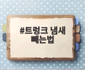 트렁크 냄새 빼는법