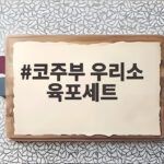 코주부 우리소 육포세트 부드러운 저온숙성 육포 추천 코주부 우리소 육포세트