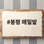 봉평 메밀밭 가을꽃축제 일정과 관람팁 봉평 메밀밭