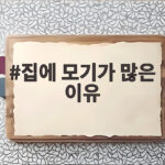 집에 모기가 많은 이유와 차단 방법 집에 모기가 많은 이유
