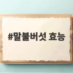 말불버섯 효능과 안전한 식용법 총정리 말불버섯 효능