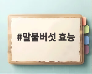 말불버섯 효능