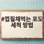 껍질째 먹는 포도 깨끗하게 씻는 법 껍질채먹는 포도 세척 방법