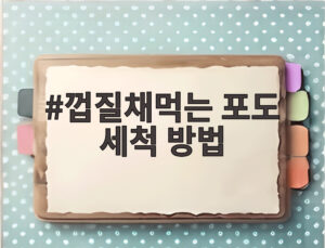 껍질채먹는 포도 세척 방법