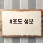 포도 성분 하루 섭취량과 효능 총정리 포도 성분