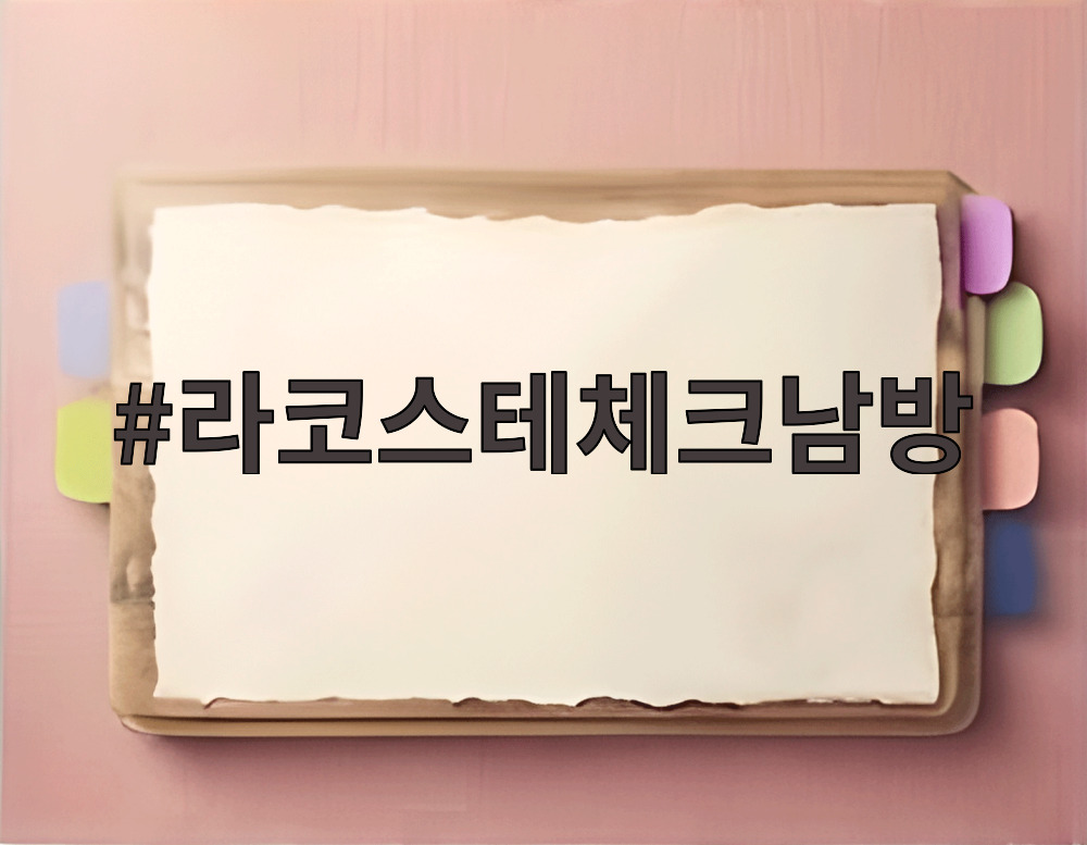 라코스테체크남방