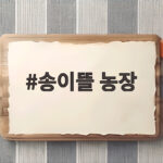 송이뜰 농장 송이버섯 선물 구매 후기 송이뜰 농장