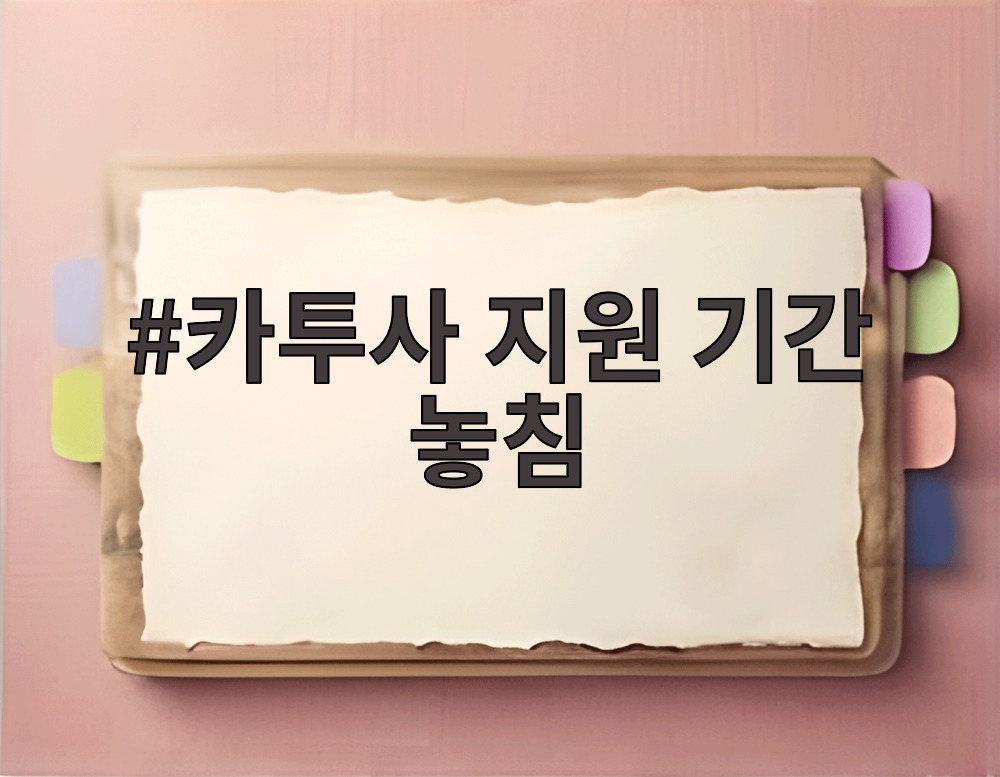 카투사 지원 기간 놓침