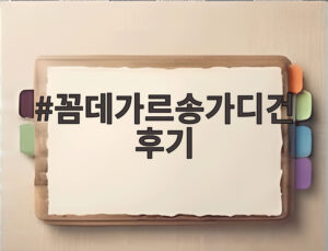 꼼데가르송가디건후기