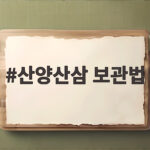 산양산삼 보관법
