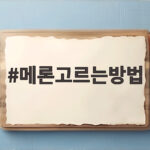 마트에서 달콤한 메론 고르는 방법 메론고르는방법