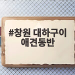 창원 대하구이 애견동반 맛집 찾는 법 창원 대하구이 애견동반
