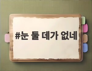 눈 둘 데가 없네