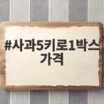 사과5키로1박스 가격과 고르는 법 사과5키로1박스 가격