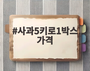 사과5키로1박스 가격