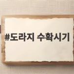 도라지 수확시기 제대로 알고 늦가을에 캐는 방법 도라지 수확시기