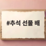추석 선물 배 고르는 기준과 가격 비교 추석 선물 배