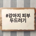 강아지 피부 두드러기 증상과 대처법 강아지 피부 두드러기