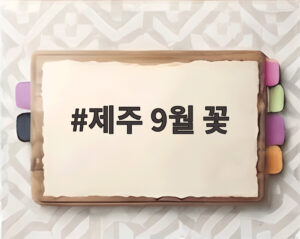 제주 9월 꽃