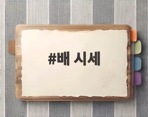 배 시세