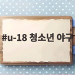 u-18 청소년 야구 대표팀 한일전 역전승의 순간 u-18 청소년 야구